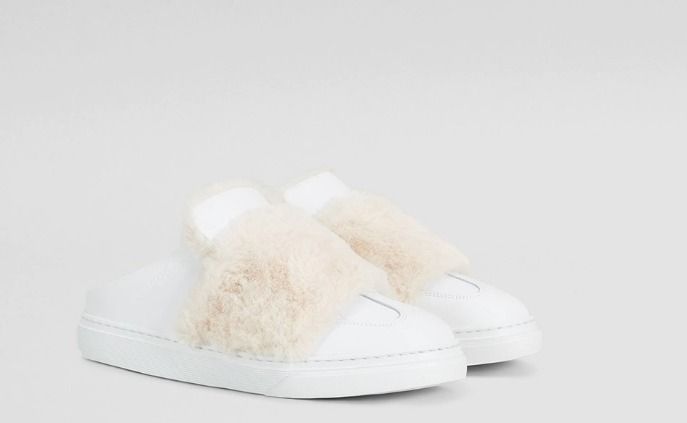 Hogan sabot best sale