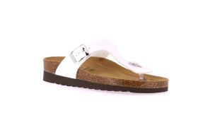 GRUNLAND HOLA INFRADITO