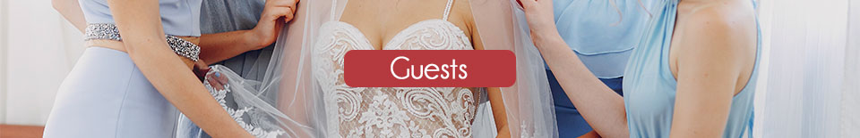 perfect guest 2023